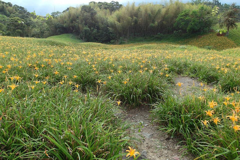 10647189_802029673152162_3243664353405627513_n