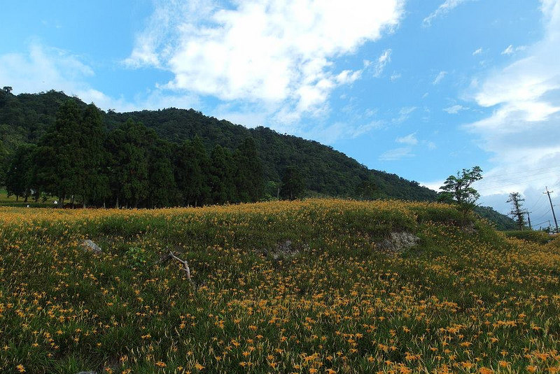 10703793_802030343152095_6168165396791235693_n