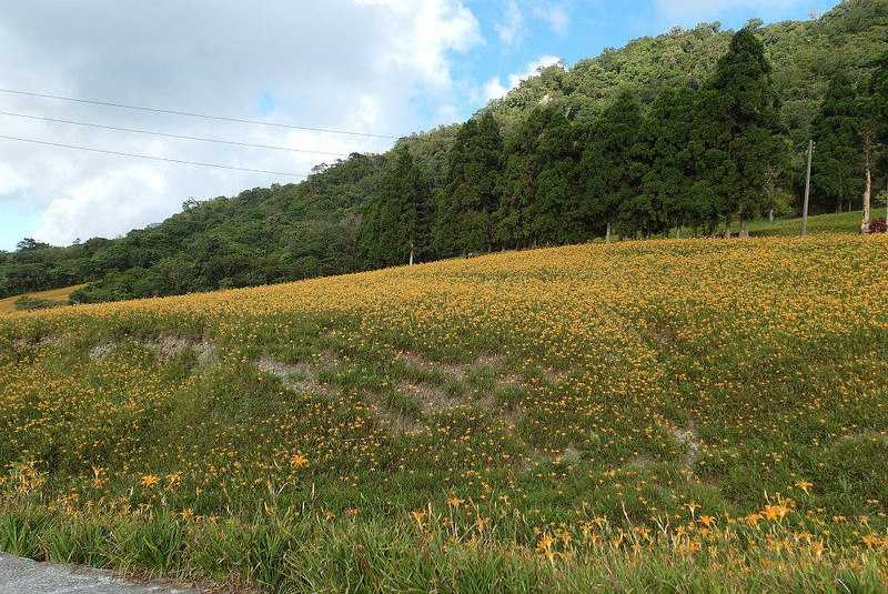 10659264_802029503152179_177618249839106123_n