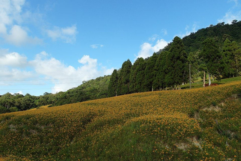 10616201_802029983152131_8000829083444793515_n