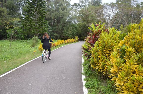 台東森林公園36