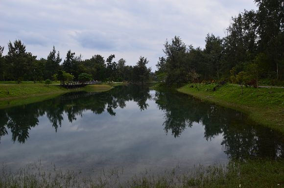 台東森林公園19