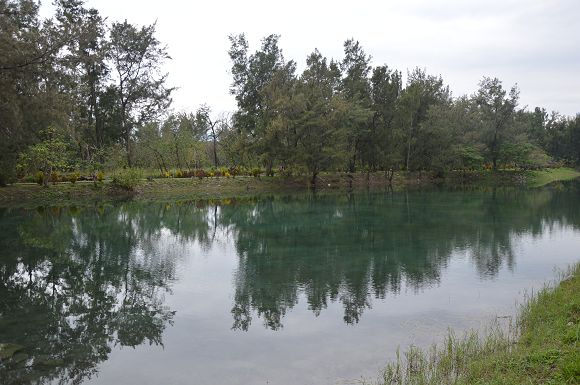 台東森林公園32