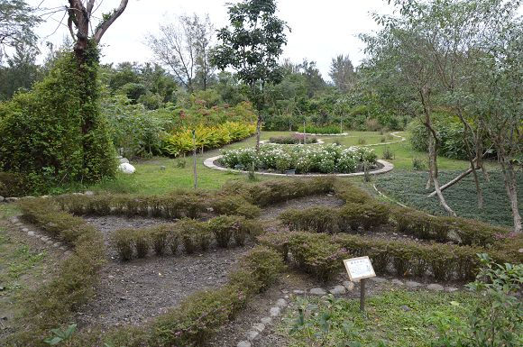 台東森林公園48