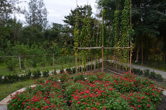 台東森林公園49