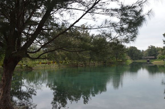 台東森林公園34