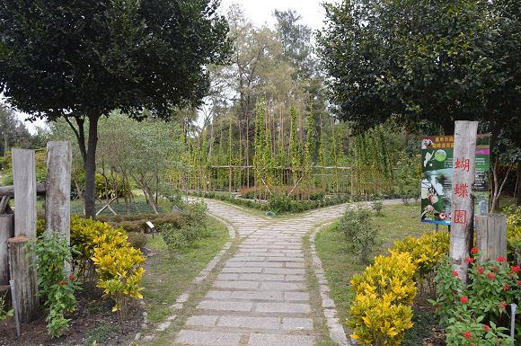 台東森林公園47