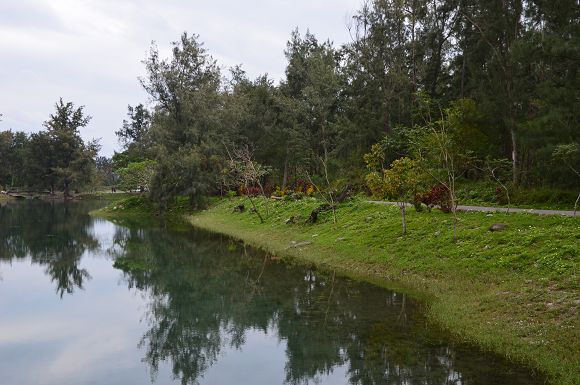 台東森林公園22