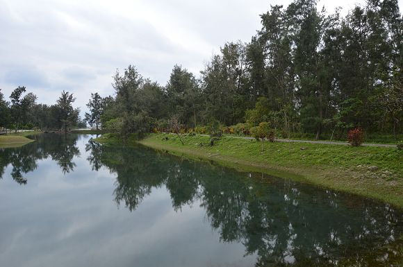 台東森林公園17