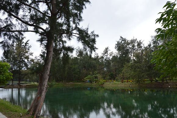 台東森林公園30