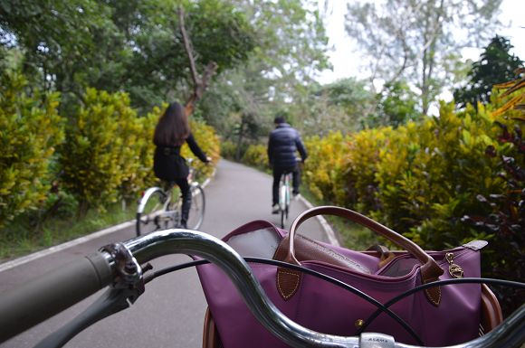 台東森林公園37