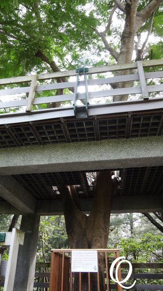 台東森林公園：台東森林公園