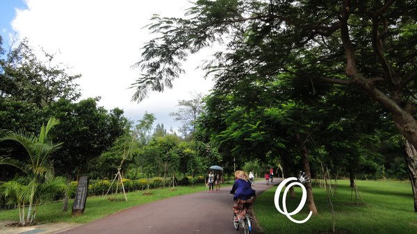 台東森林公園：台東森林公園