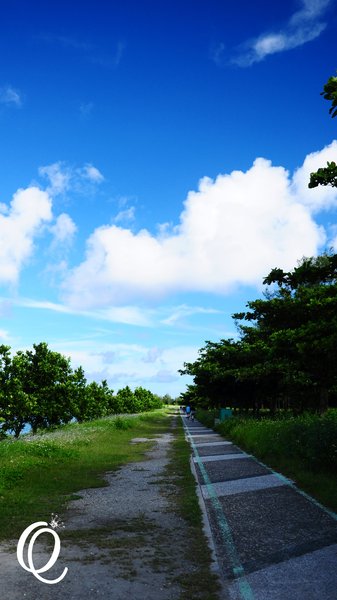 台東森林公園：台東森林公園