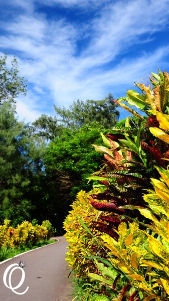 台東森林公園：台東森林公園