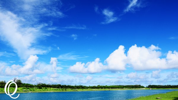 台東森林公園：台東森林公園