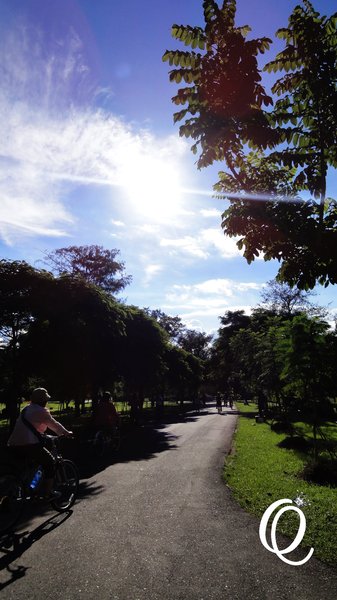 台東森林公園：台東森林公園