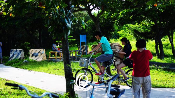 台東森林公園：台東森林公園
