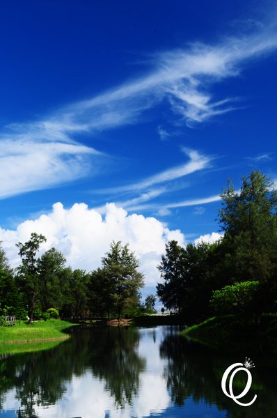 台東森林公園：台東森林公園