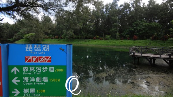 台東森林公園：台東森林公園