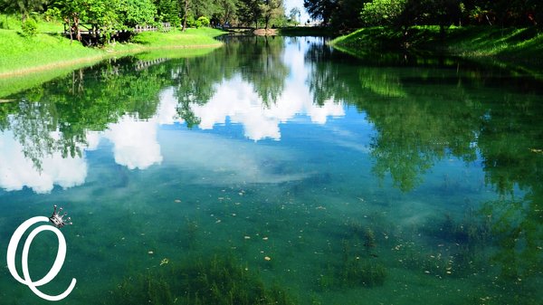 台東森林公園：台東森林公園