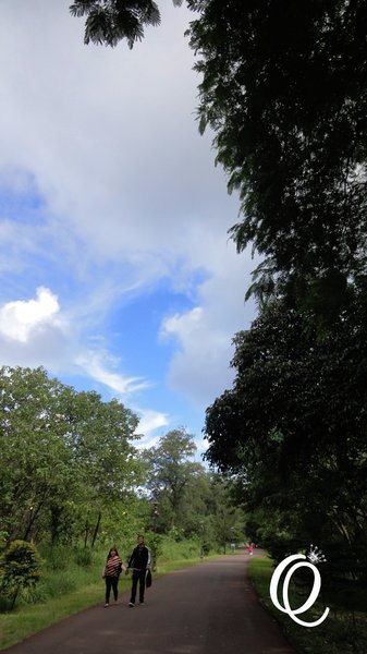 台東森林公園：台東森林公園