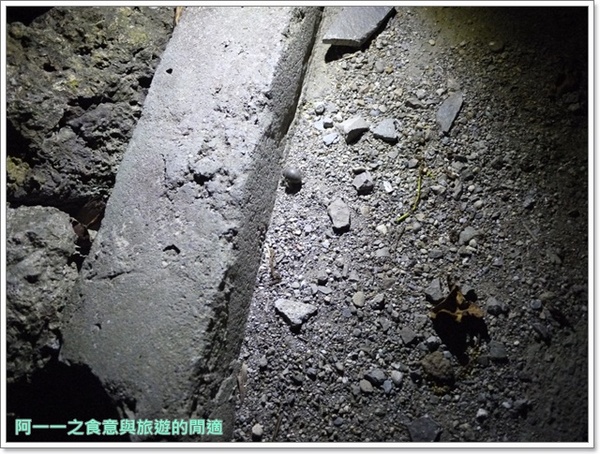 小野柳風景區:台東景點 夜訪小野柳 探尋月色海浪與星空~阿一一台東熱汽球之旅