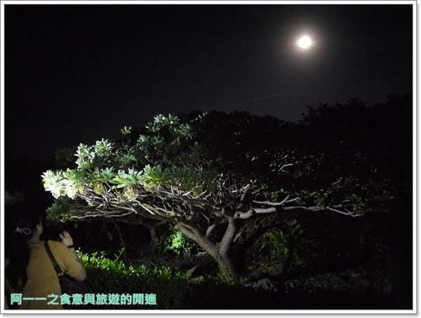 小野柳風景區:台東景點 夜訪小野柳 探尋月色海浪與星空~阿一一台東熱汽球之旅