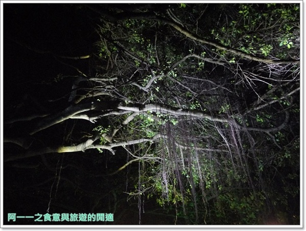 小野柳風景區:台東景點 夜訪小野柳 探尋月色海浪與星空~阿一一台東熱汽球之旅