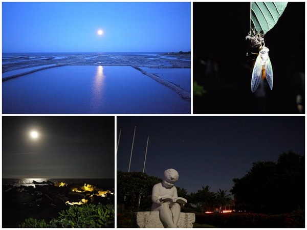 小野柳風景區:台東景點 夜訪小野柳 探尋月色海浪與星空~阿一一台東熱汽球之旅