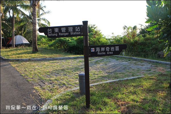 台東露營28.jpg