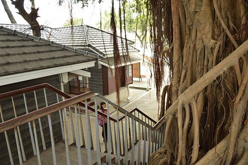 台東兒童故事館24