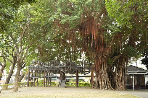 台東兒童故事館23
