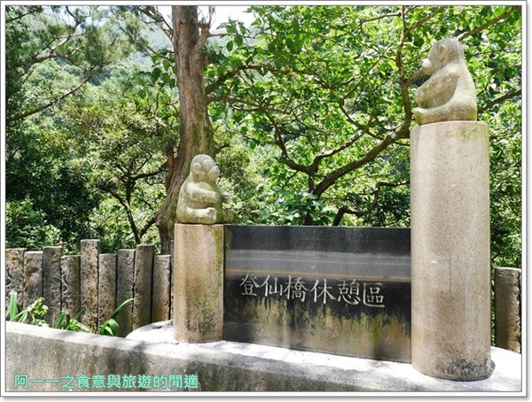 泰源幽谷遊憩區:台東 泰源幽谷 花果山在台灣~跟孫悟空的猴子猴孫相見歡