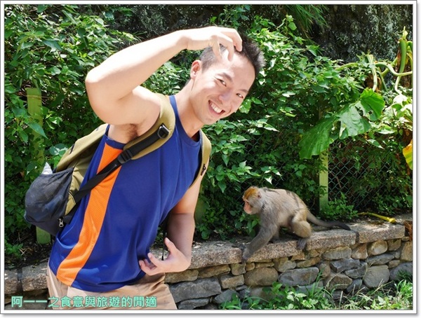 泰源幽谷遊憩區:台東 泰源幽谷 花果山在台灣~跟孫悟空的猴子猴孫相見歡