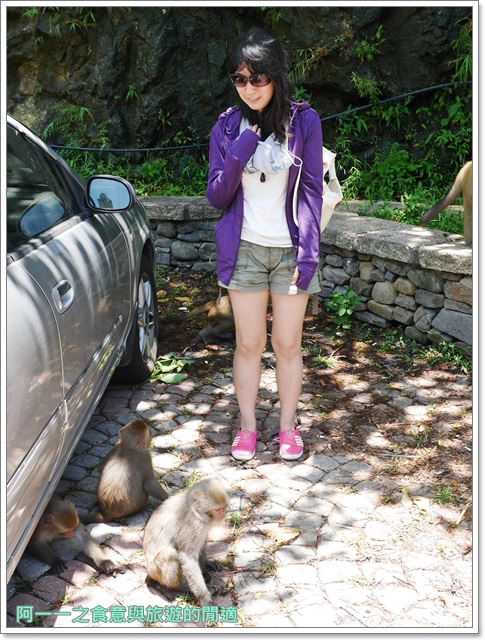 泰源幽谷遊憩區:台東 泰源幽谷 花果山在台灣~跟孫悟空的猴子猴孫相見歡
