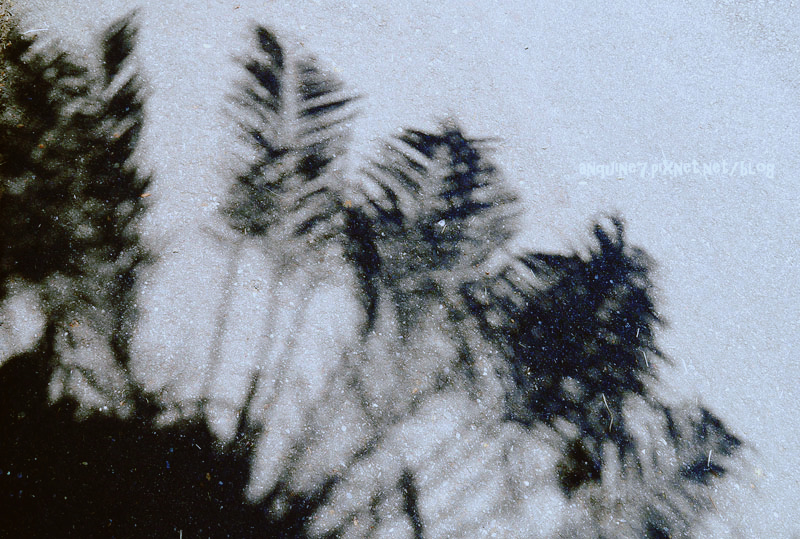 廖西瓜@台東都蘭新東糖廠6