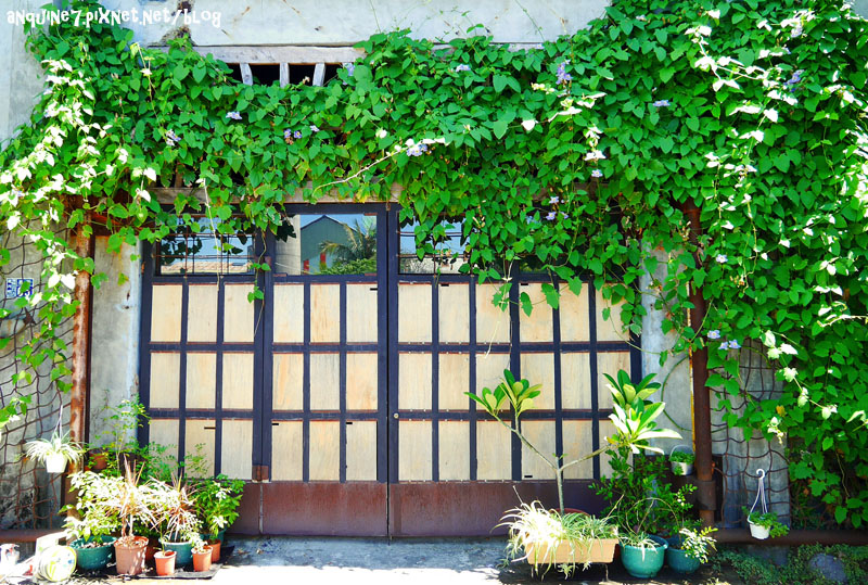 廖西瓜@台東都蘭新東糖廠4