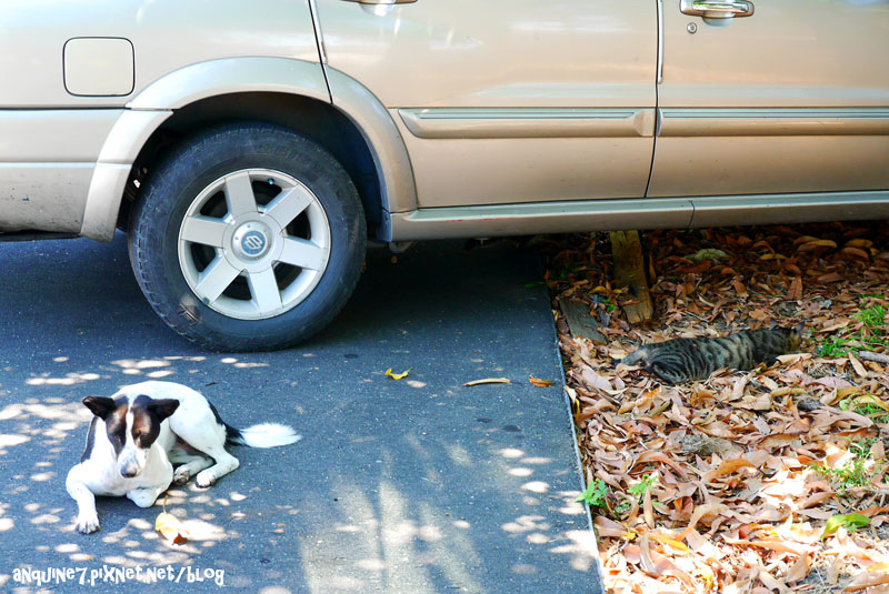 廖西瓜@台東都蘭新東糖廠37