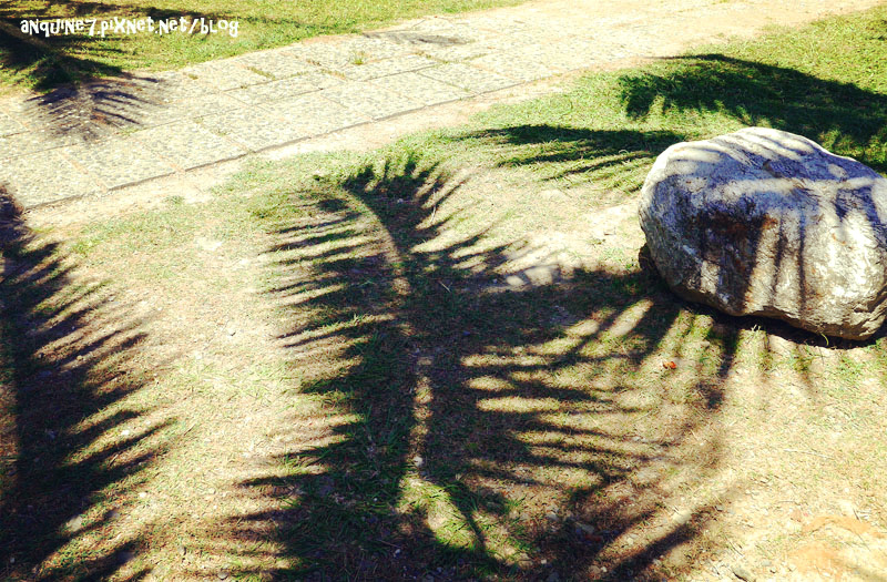 廖西瓜@台東都蘭新東糖廠43