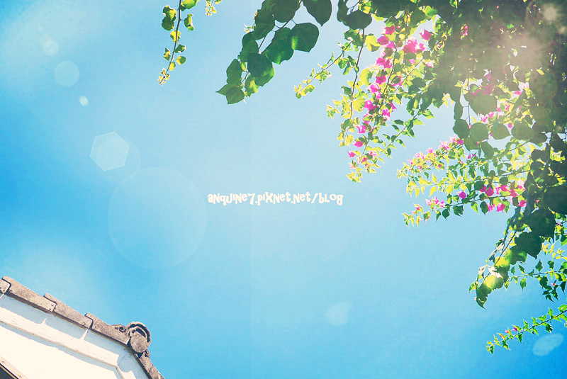 廖西瓜@台東都蘭新東糖廠25