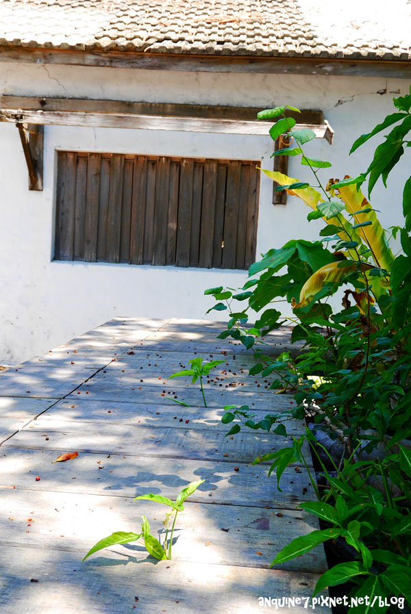 廖西瓜@台東都蘭新東糖廠39