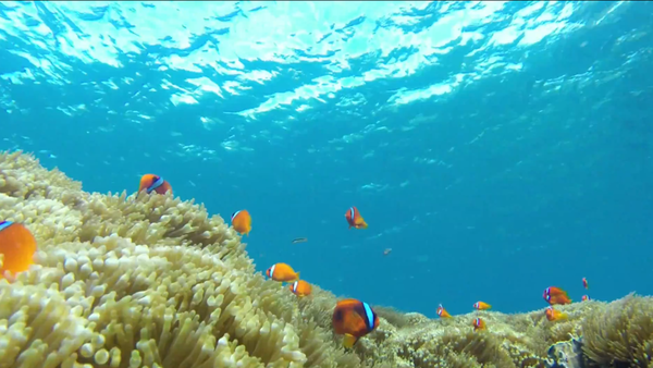 螢幕快照 2014-06-16 下午5.57.45