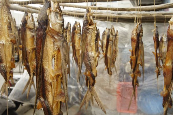 10465612_10202224122420576_231906390_o