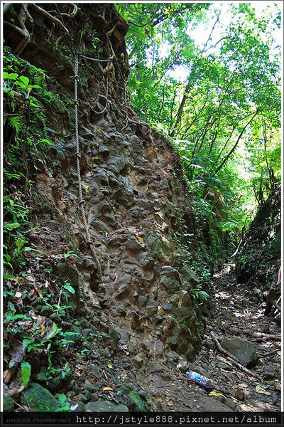 4574075151_01eb79cc6c_o