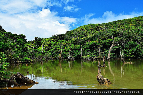 7609529458_fc44b404fa