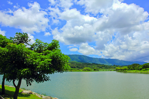 大坡池： [遊記]【台東池上鄉】大坡池。 藍天白雲與湖畔之美