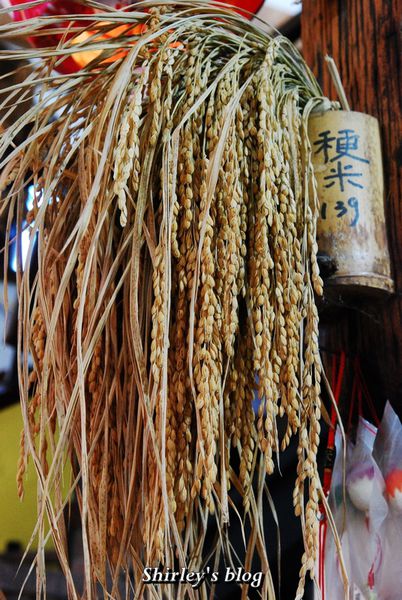 稻米原鄉館(池上萬安社區)：台東‧稻米原鄉館