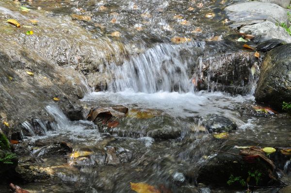 知本森林遊樂園區:【台東小旅行邀約】知本、樂山、東遊季一日遊