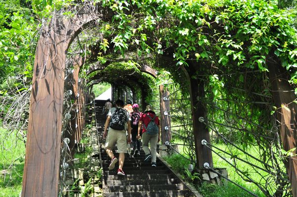 知本森林遊樂園區:【台東小旅行邀約】知本、樂山、東遊季一日遊